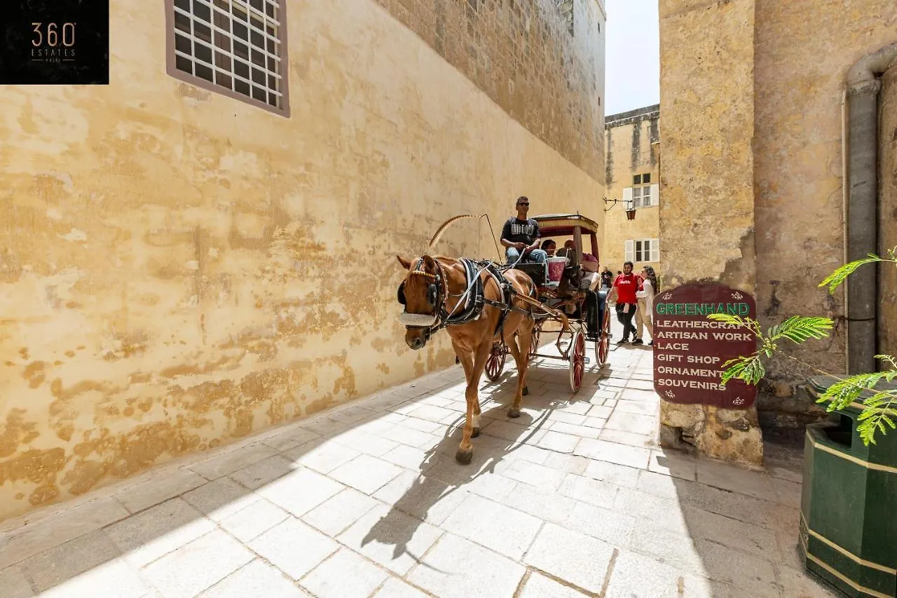 Historical Mdina Gem Lux Home With Rooftop Pool By 360 Estates Apartmán